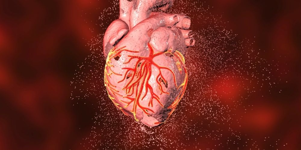 linoleic acid cardiovascular disease