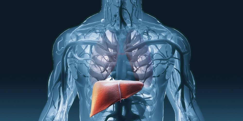 liver health