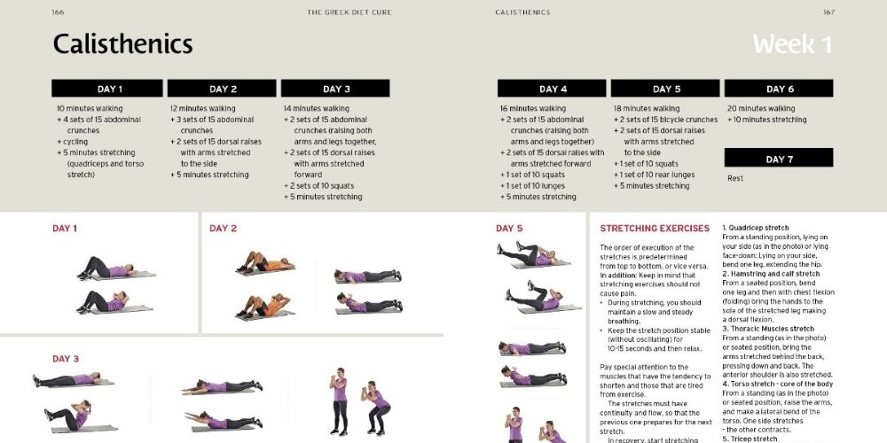 the diet cure 3