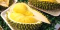 Durian fruit