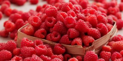 Raspberry ketone ή πολλή διαφήμιση για το τίποτα;