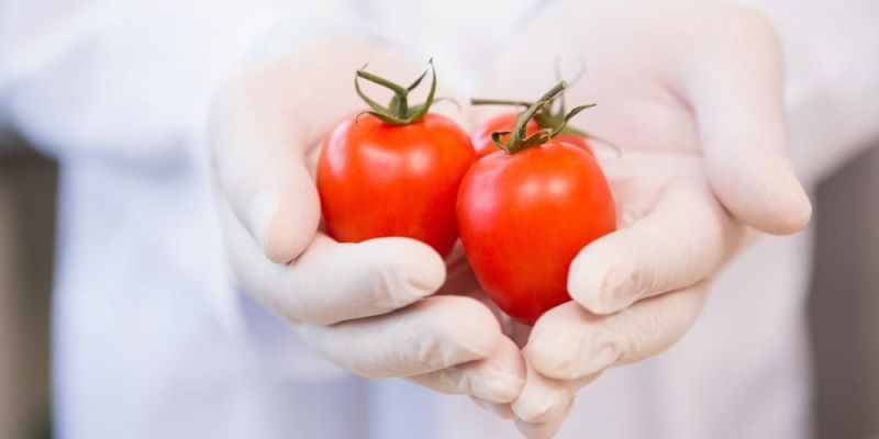 andras pou krataei tomatinia